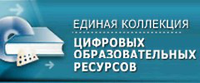 Средняя общеобразовательная школа №578, Приморский район